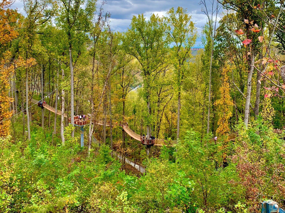 Rail Runner at Anakeesta-盖林柏格必去景点