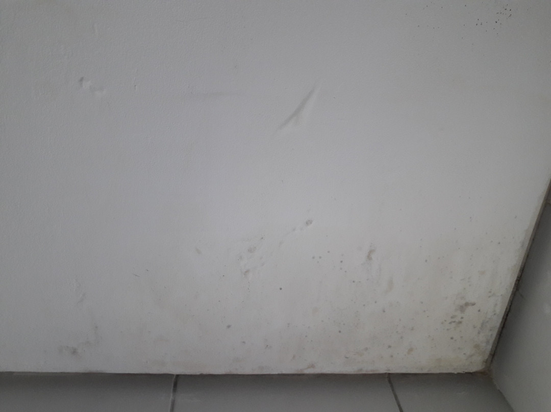 皮奥伊州酒店住宿-Real Hotel