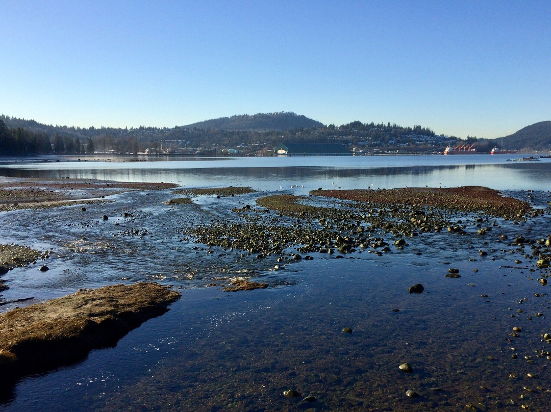 Shoreline Park-穆迪港必去景点