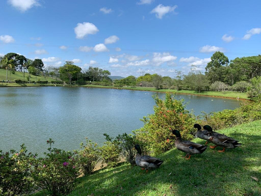 Hotel Villa Rossa主图