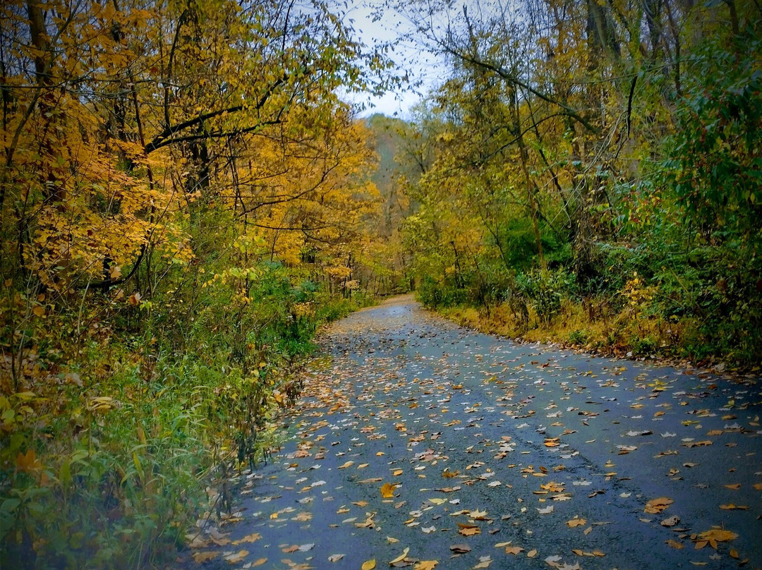 Braddock's Trail Park景点图片