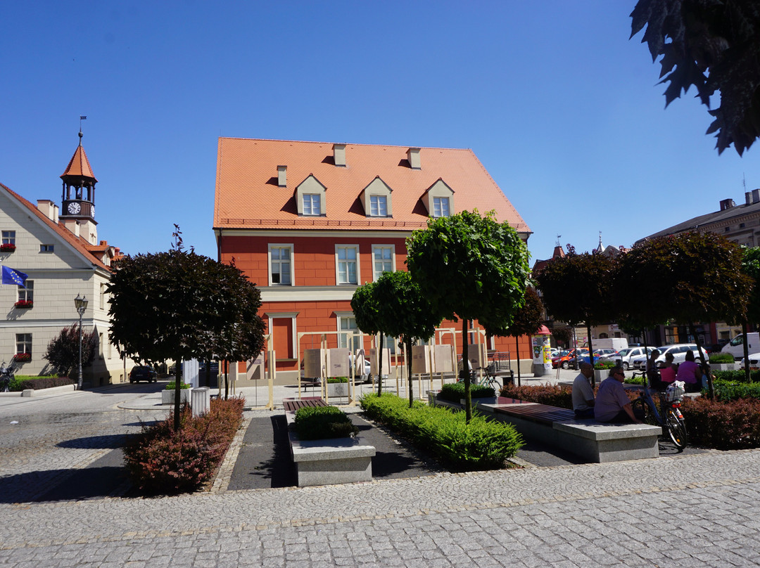 Museum of the Kepinska Land景点图片