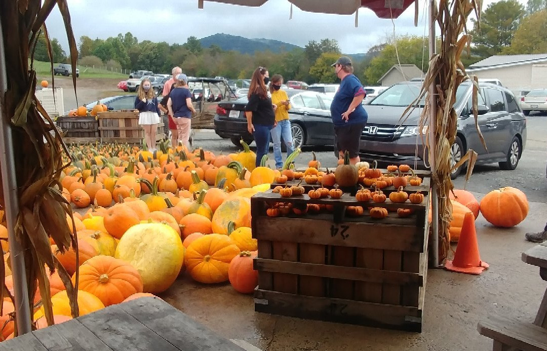 Reece Apple House-Ellijay必去景点