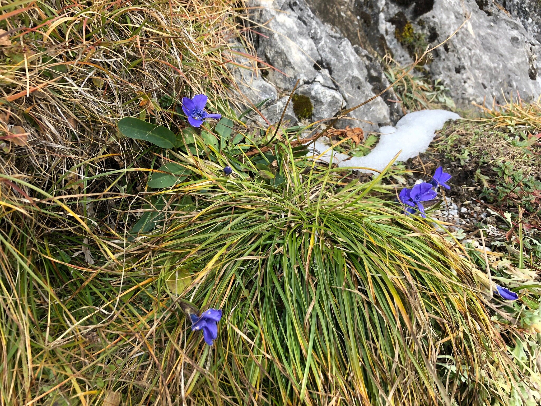 Sporthotel Wilder Kaiser-官方