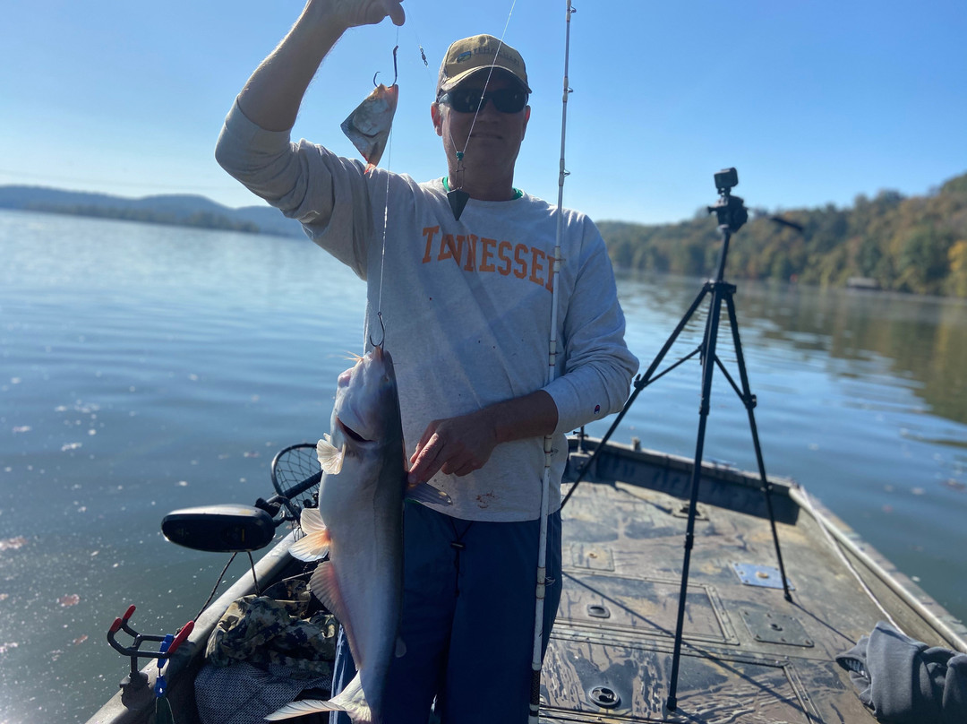 Tennessee River Monsters Fishing Guide Service - Striper, Catfish & Musky-Clinton必去景点