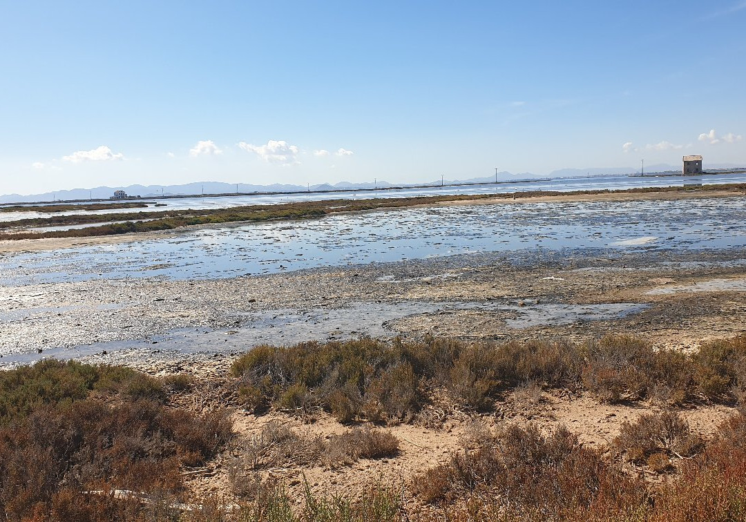 Paraje de Las Salinas-San Pedro del Pinatar必去景点