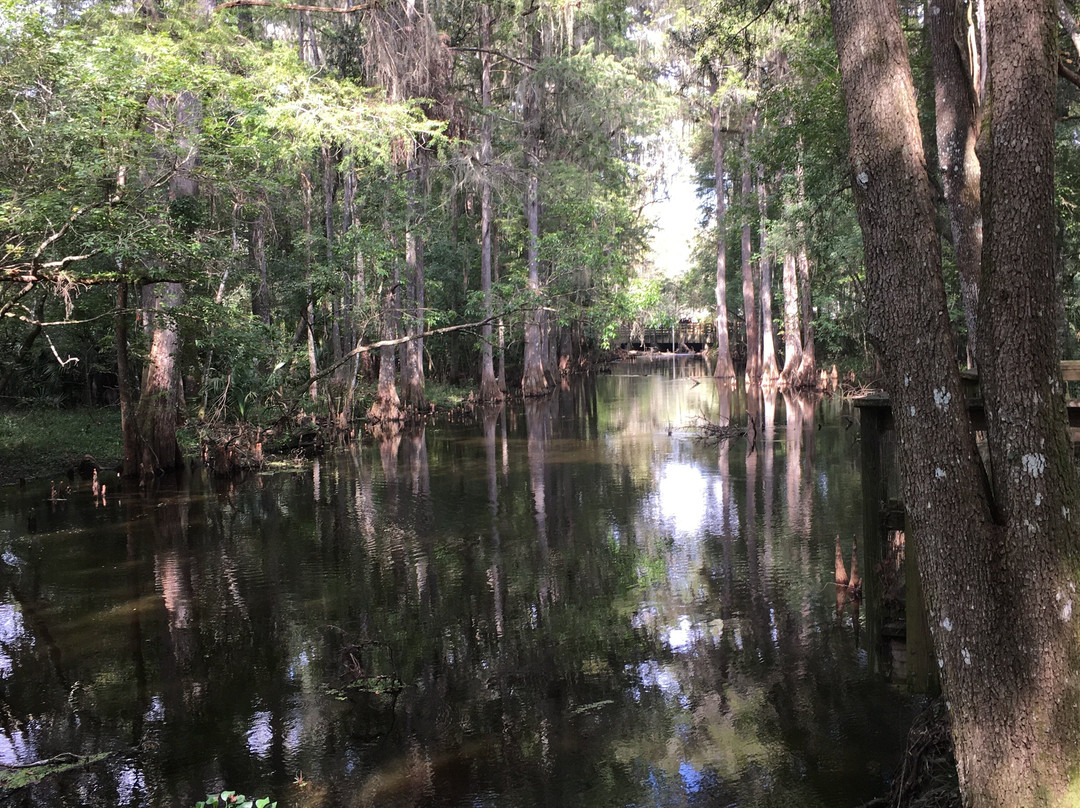 Gainesville-Hawthorne State Trail-盖恩斯维尔必去景点