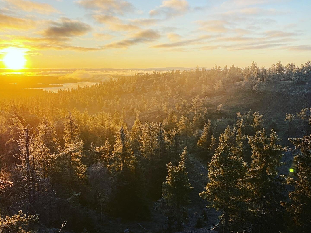 Ruka Peak - Boutique Hotel & Restaurant主图
