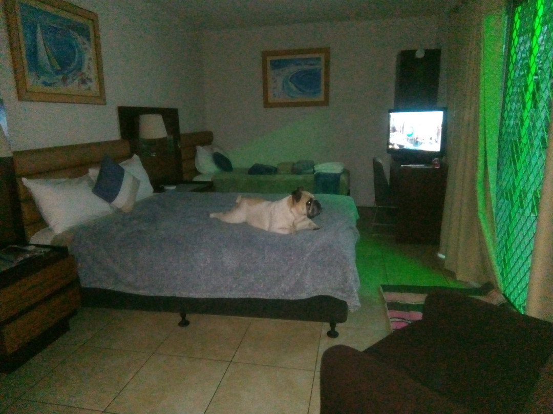 Jadran Motel & El Jay Holiday Lodge主图