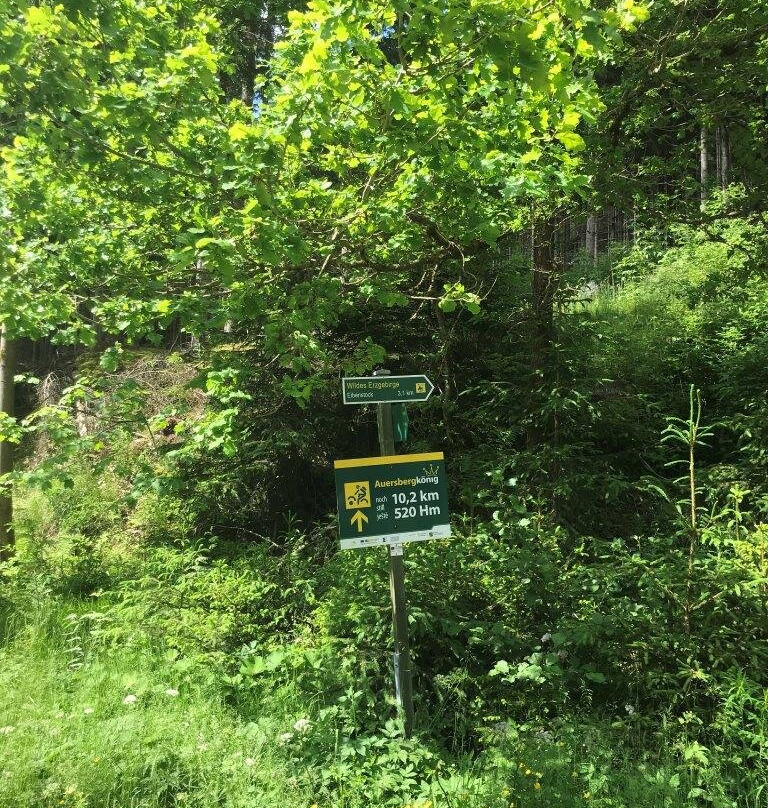 Auersbergkonig-Eibenstock必去景点