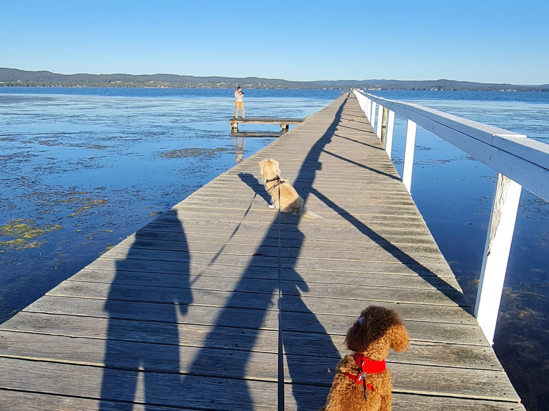 Buccaneer Motel主图