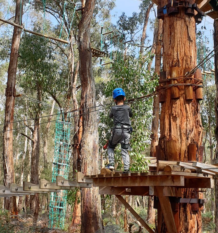 Treetops Adventure Yeodene-Yeodene必去景点