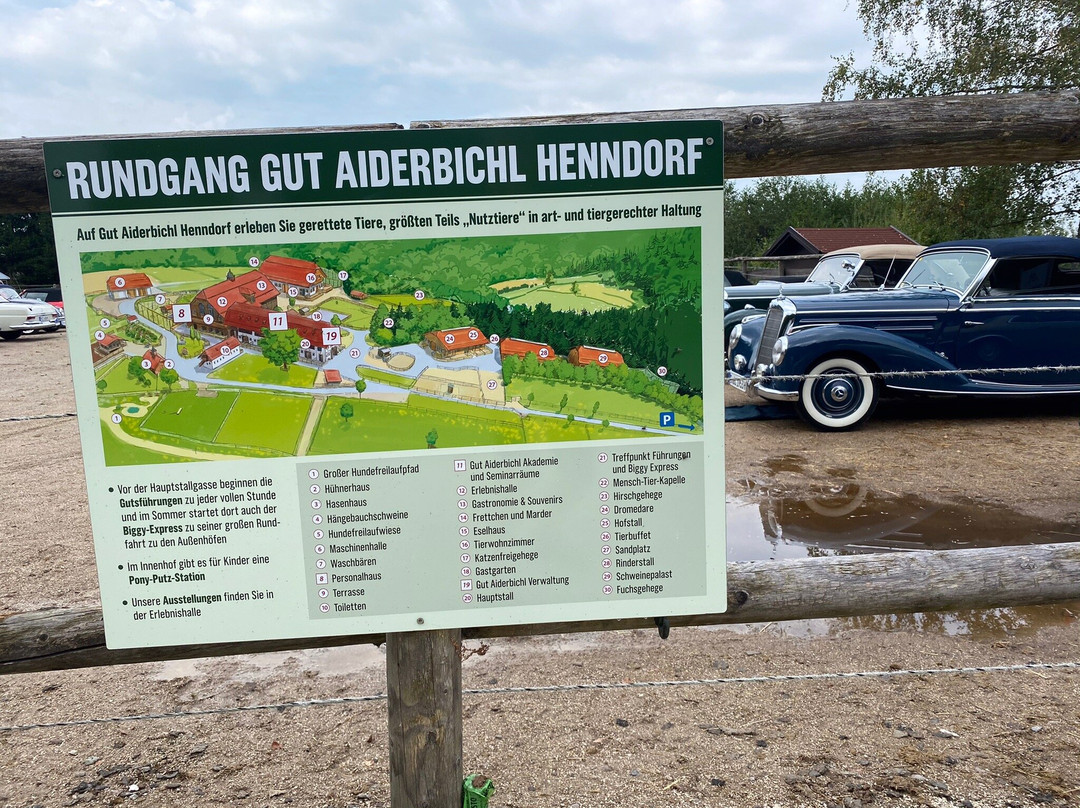Henndorf am Wallersee旅游攻略图片