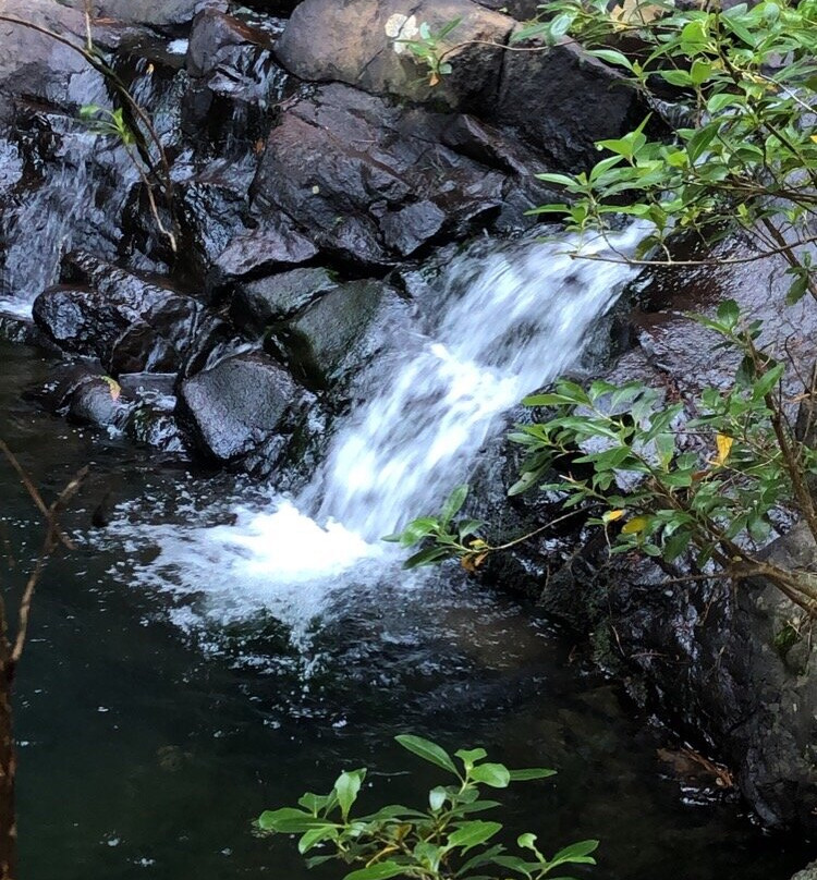 Pauanui Waterfall景点图片