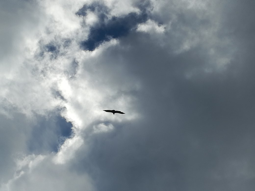 乌尔巴萨山脉自然公园-纳瓦拉必去景点