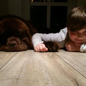 Lichtenberg旅游攻略图片