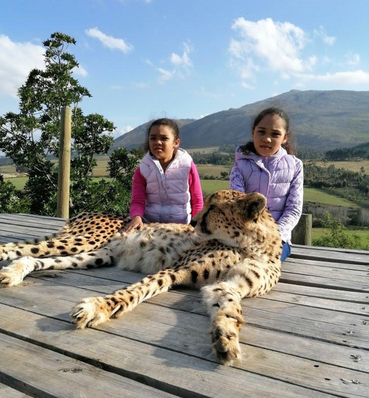 EnzoKuhle South Africa-Cape Point必去景点