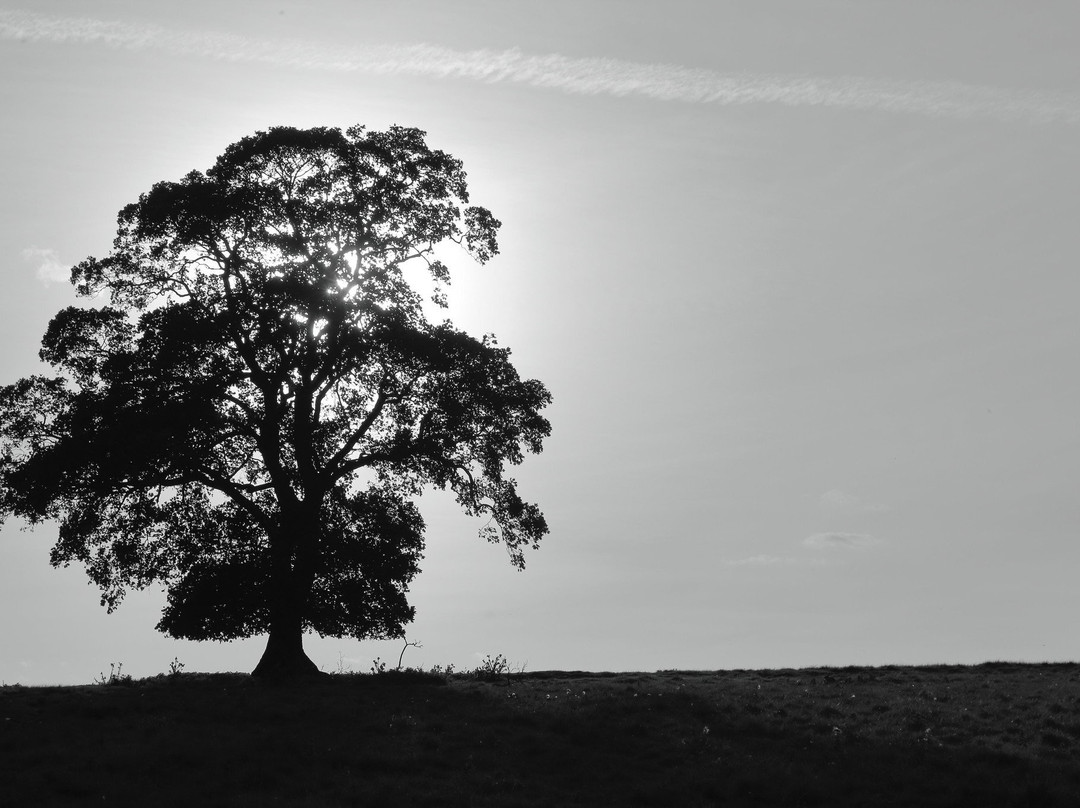 Pitsford Reservoir - Pitsford Water Park景点图片
