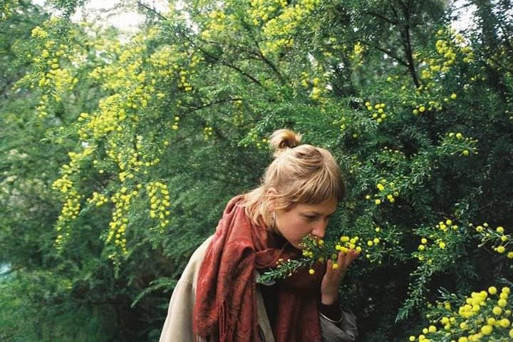 Wild Mindfulness Australia-戴尔斯福特必去景点