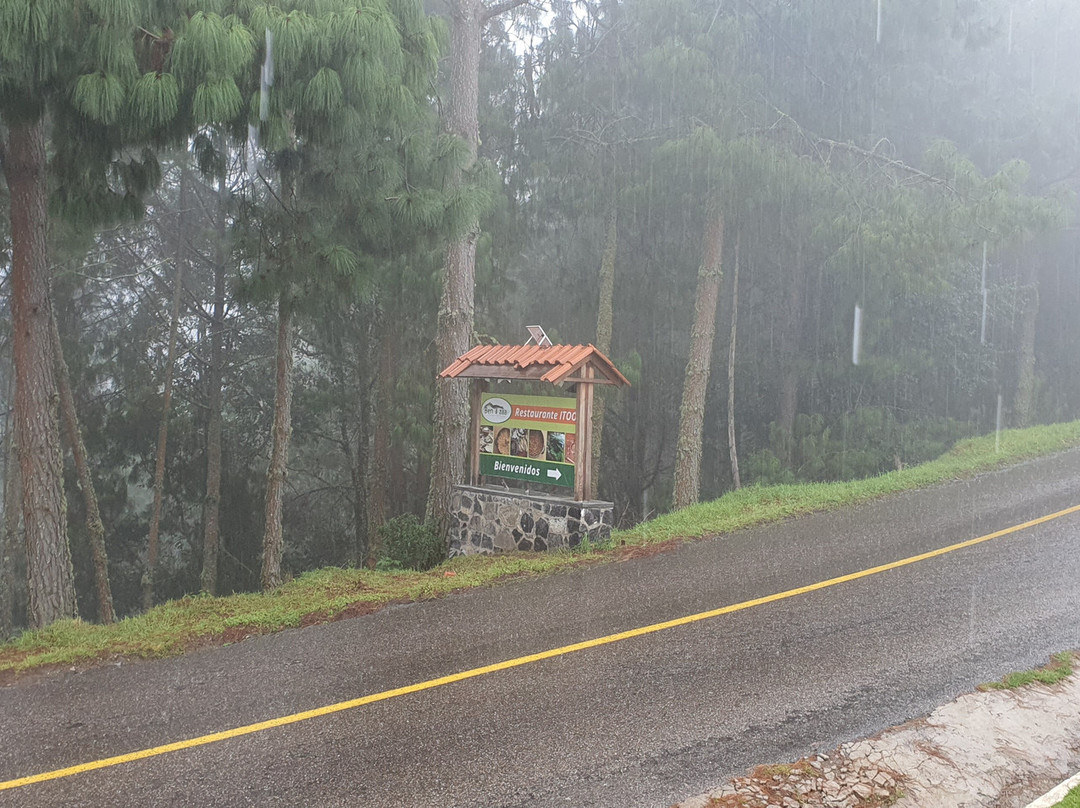 Mexplorer Adventures-瓦哈卡必去景点