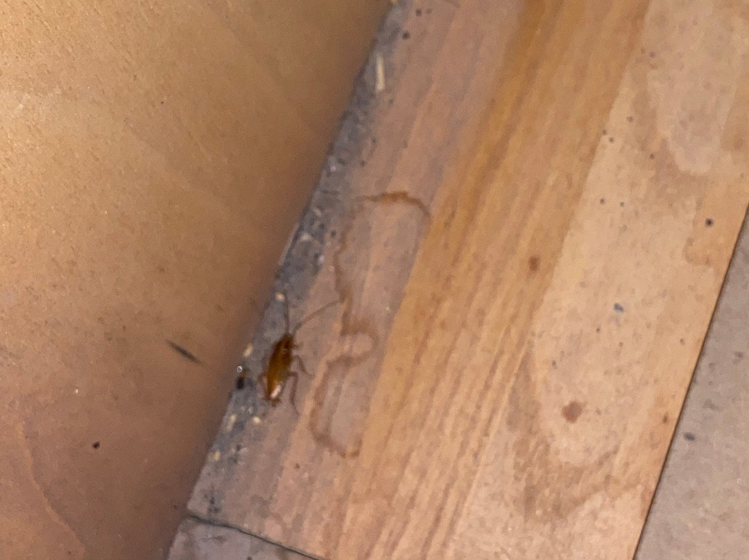 Super 8 by Wyndham Lancaster主图