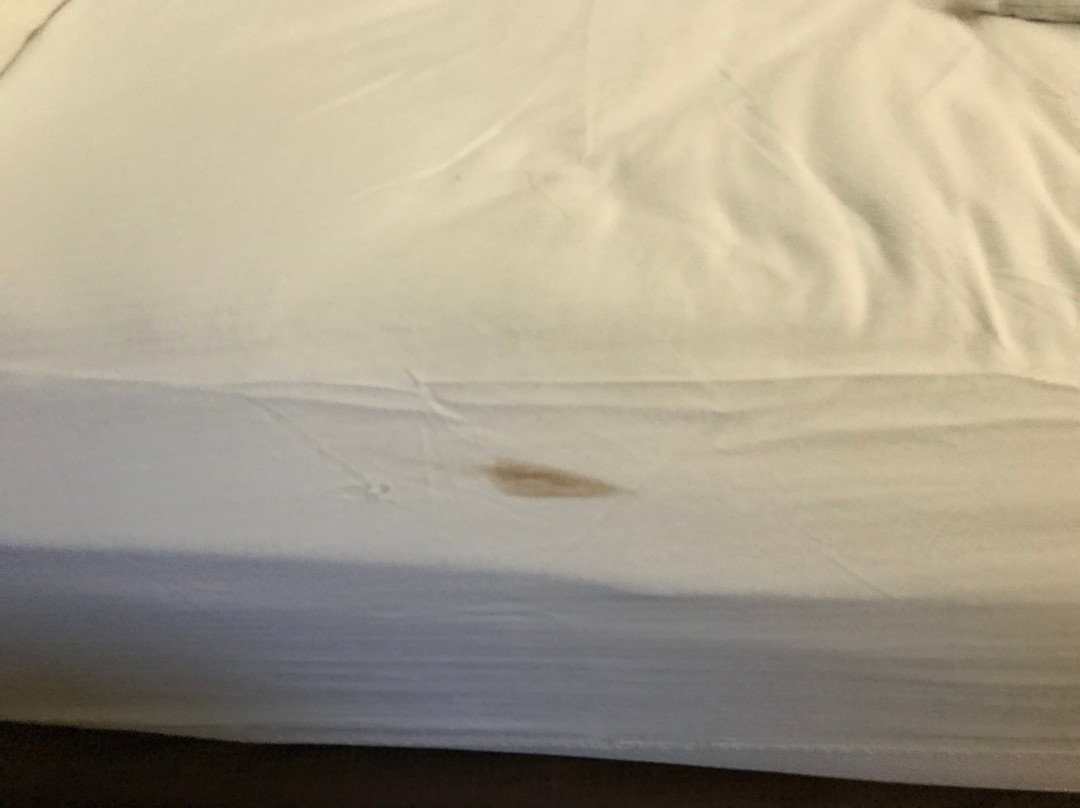 希尔顿逸林莱明斯特酒店主图