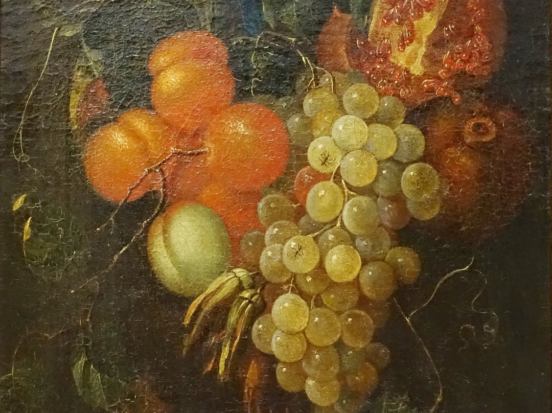 Musée d’Art et d’Archéologie du Périgord景点图片