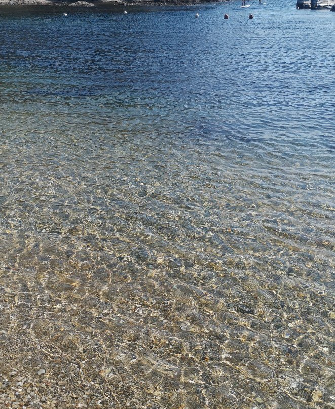 Port du Niel-Giens必去景点