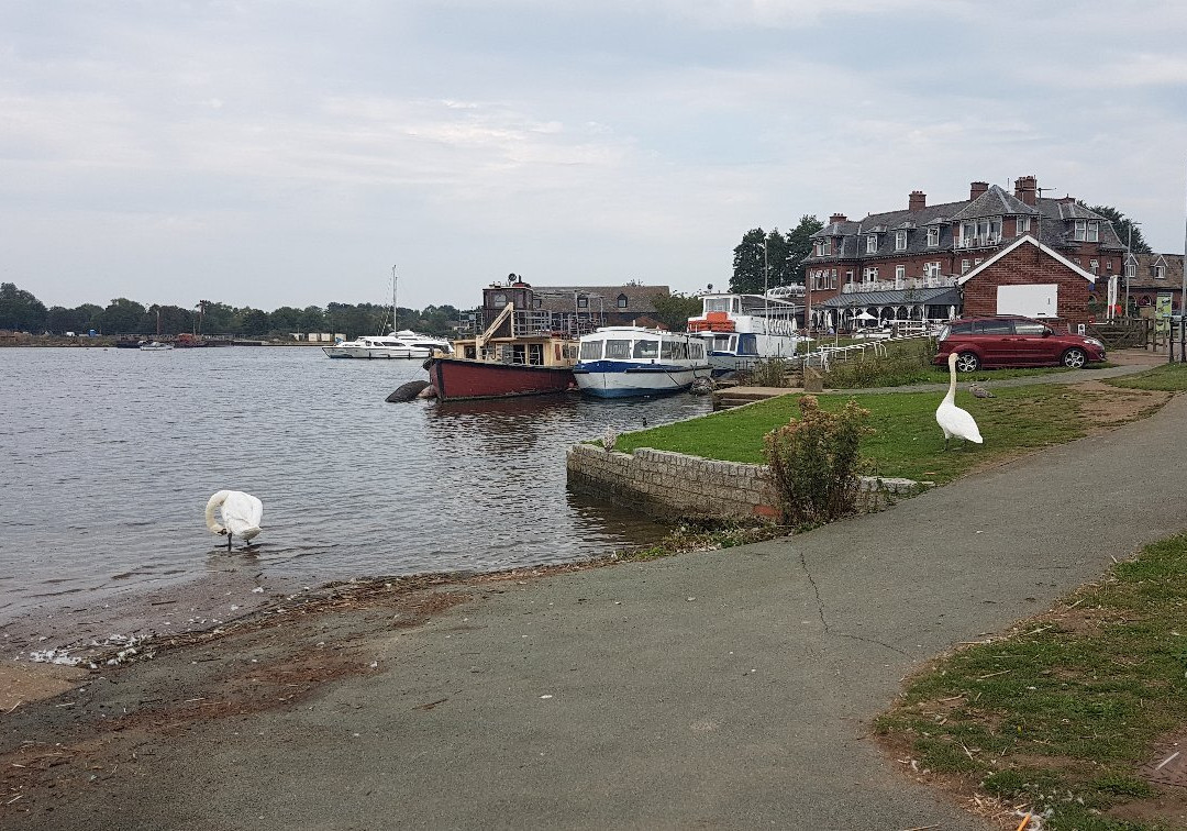 Nicholas Evirett Park Oulton Broad-Oulton Broad必去景点