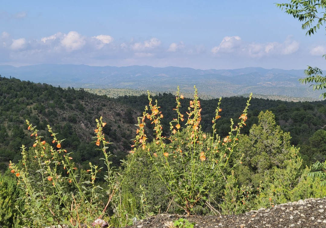 Georgetown Cabins Resort主图