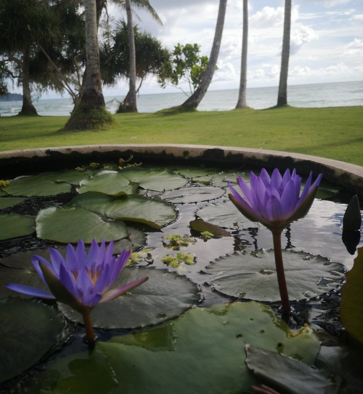 Tapao Beach景点图片