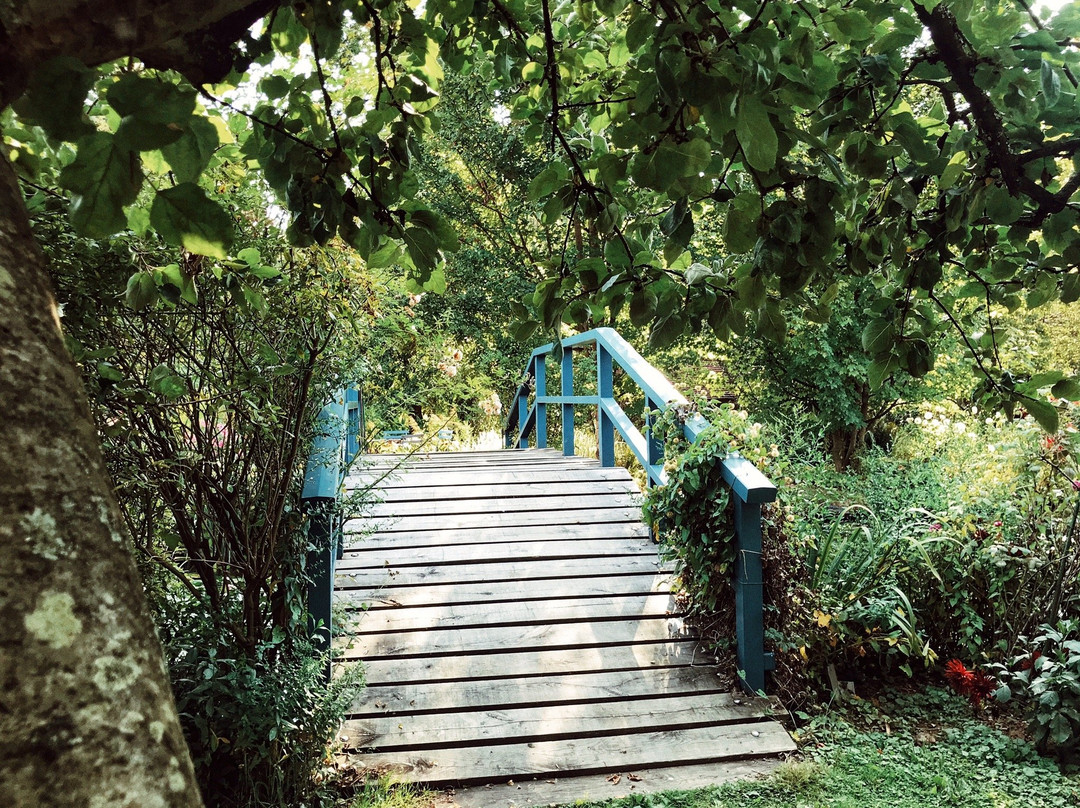 Jardin du Peintre Andre Van Beek景点图片