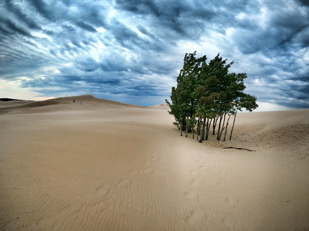 Silver Lake Sand Dunes-Hart必去景点