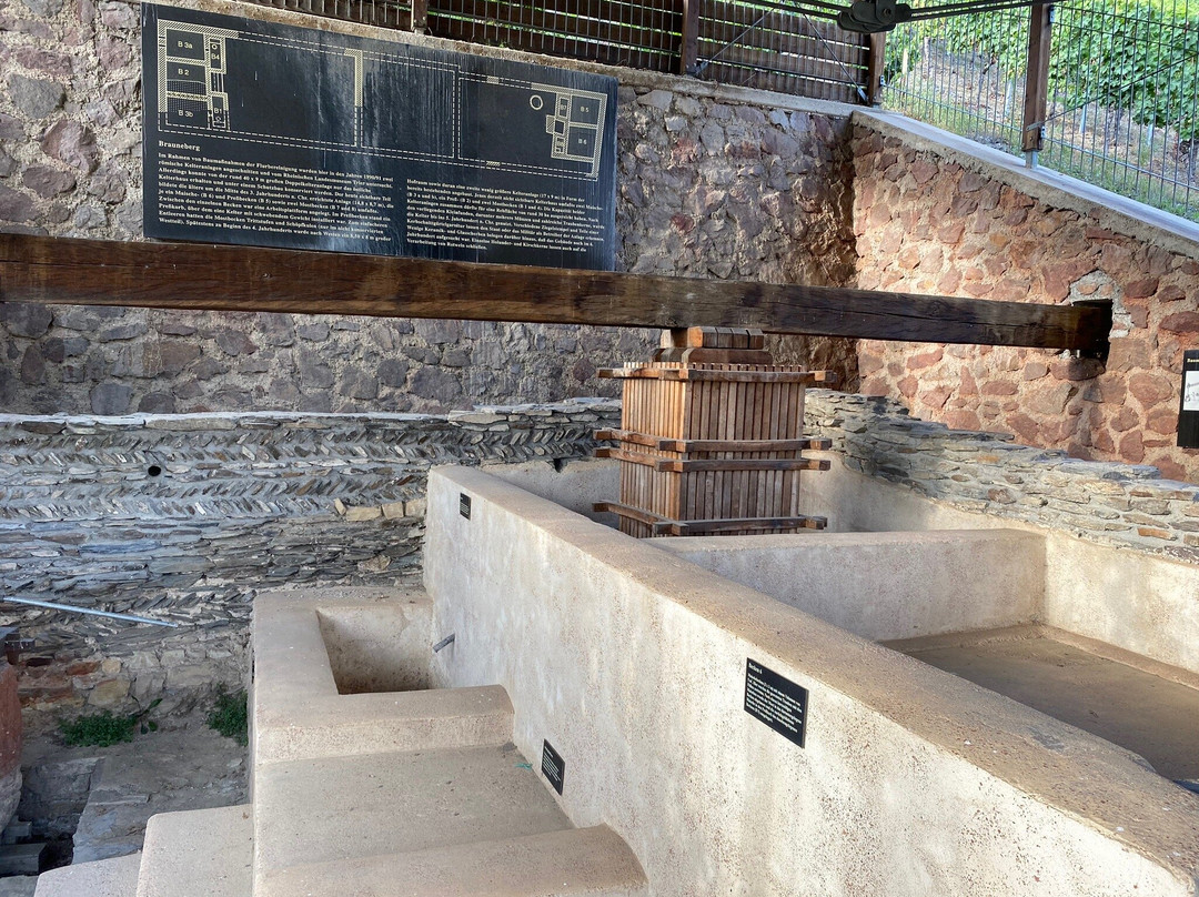 Roman Wine Press景点图片