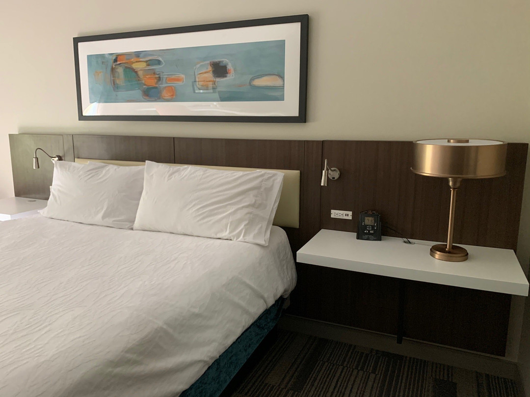 Hilton Garden Inn Oxford/anniston, Al主图