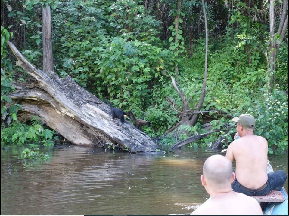 Jimmy Jaguar Travel-伊基托斯必去景点
