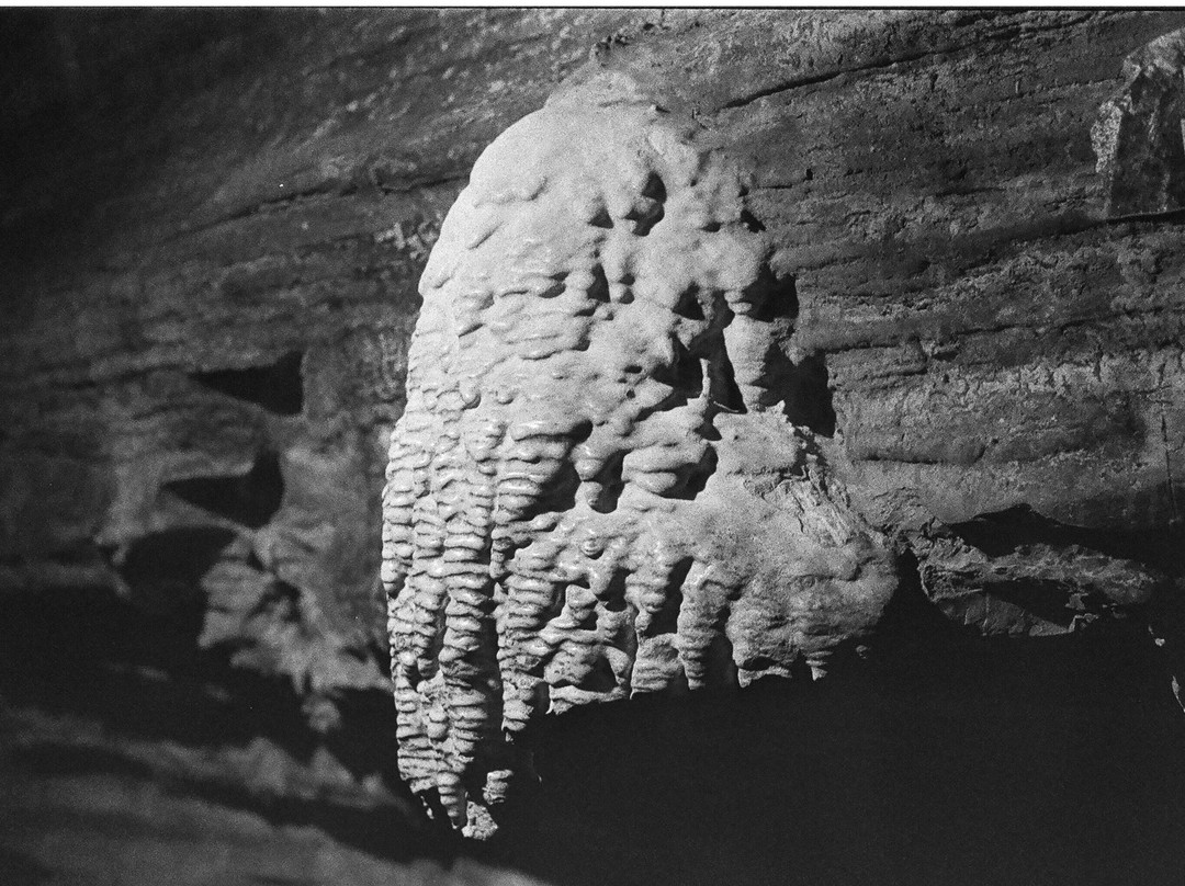 Secret Caverns-Cobleskill必去景点