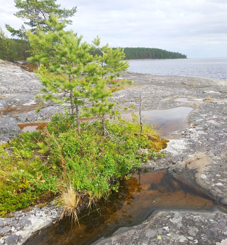 Koionsaari Island景点图片