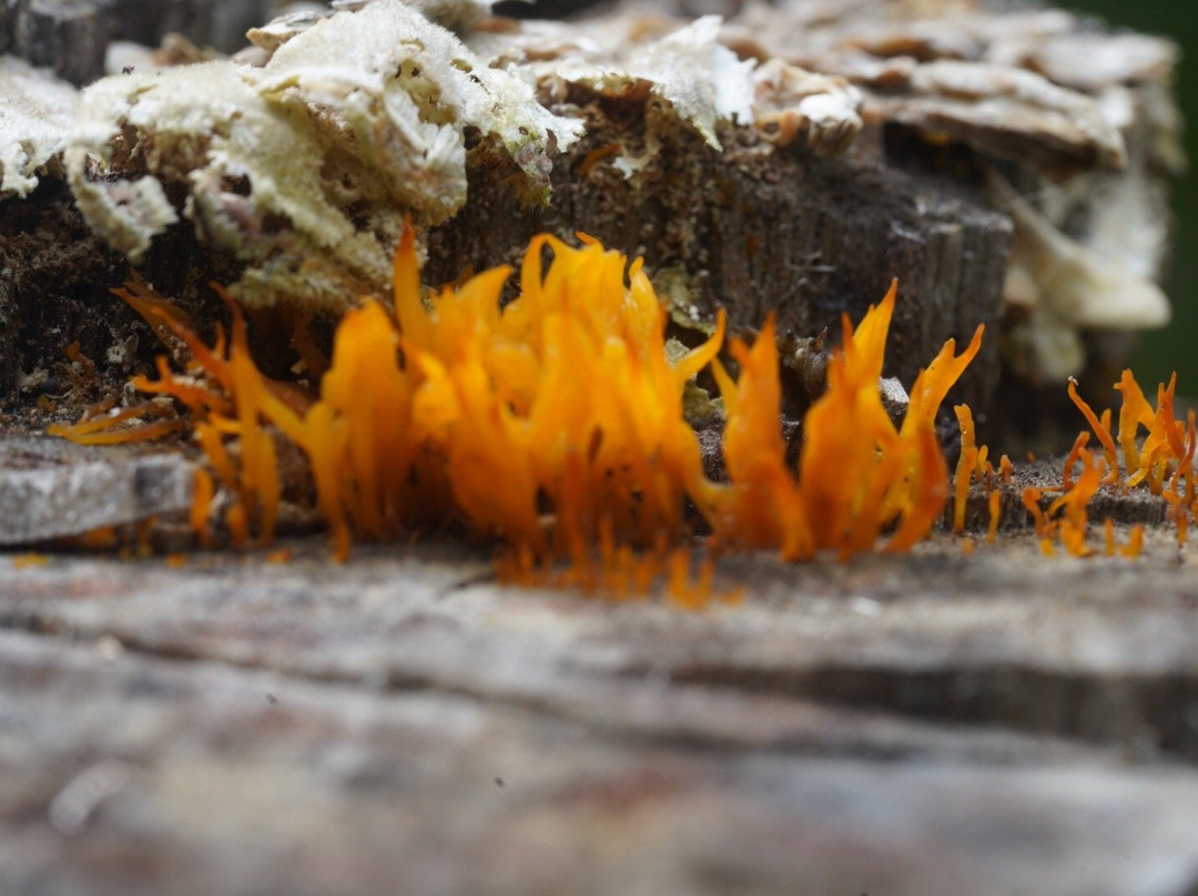 Kettle Lakes Provincial Park-Timmins必去景点