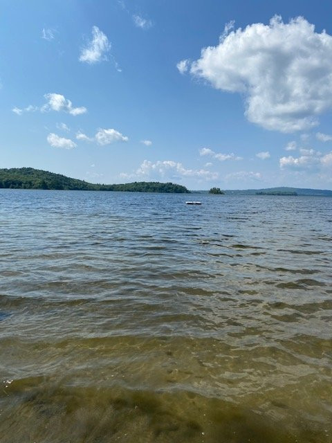 Wayne旅游攻略图片