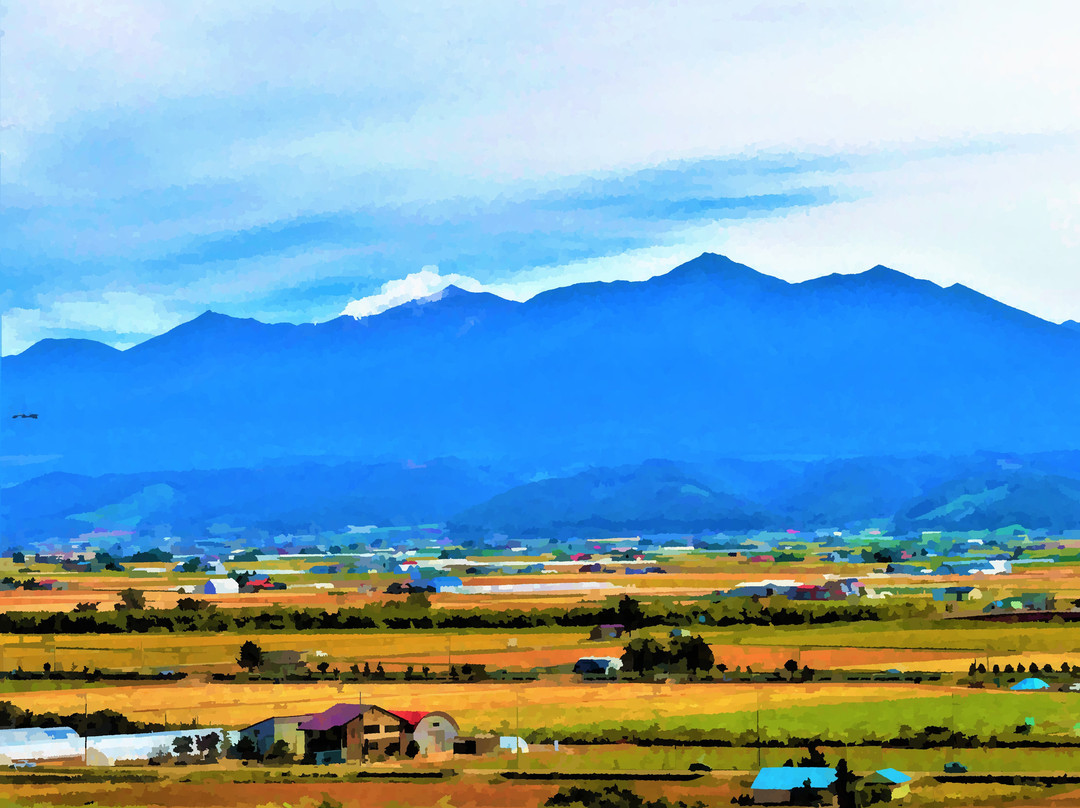 Furano Budogaoka Park-富良野市必去景点