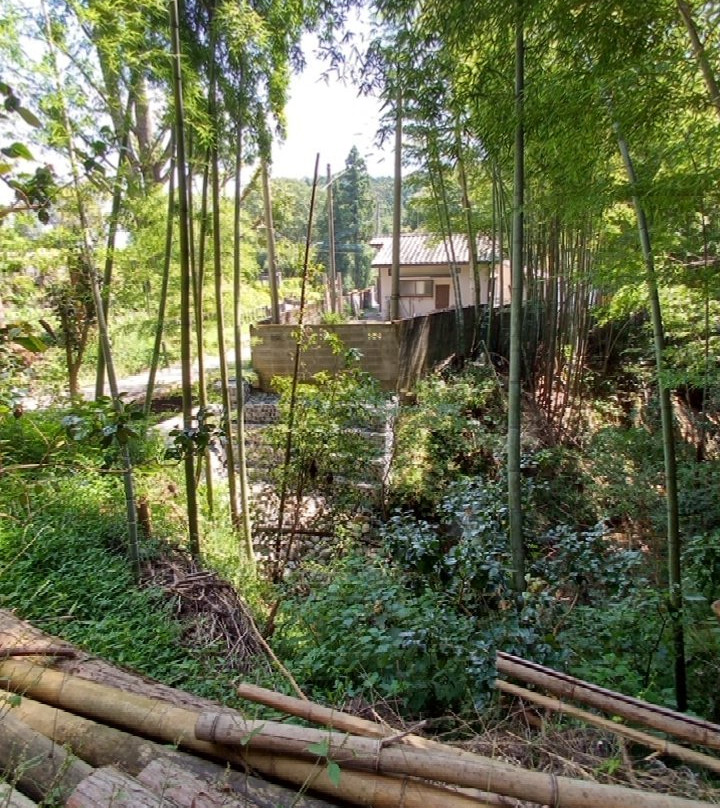 Hachioji Castle Remains-八王子市必去景点