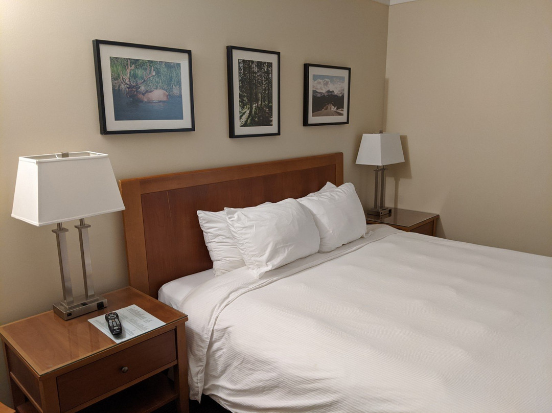 Twin Pine Motor Inn主图