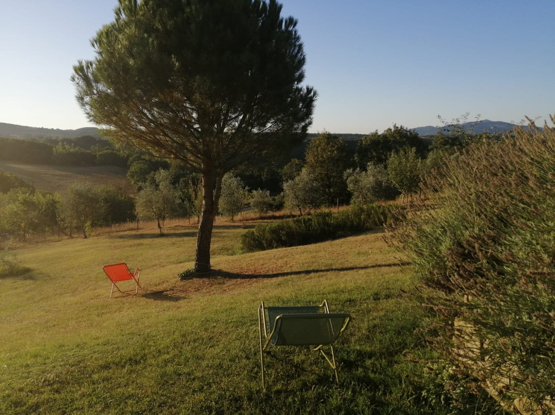 Prodo旅游攻略图片