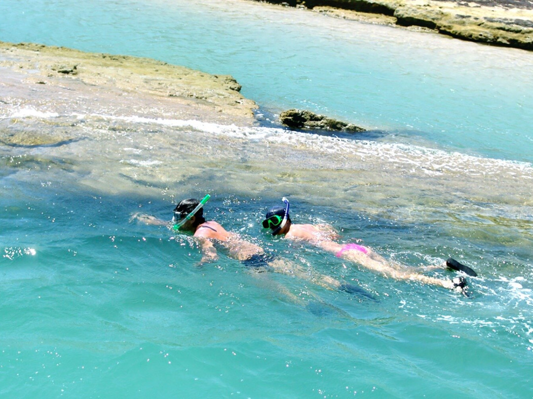 Gray Line Brazil-Maceio必去景点