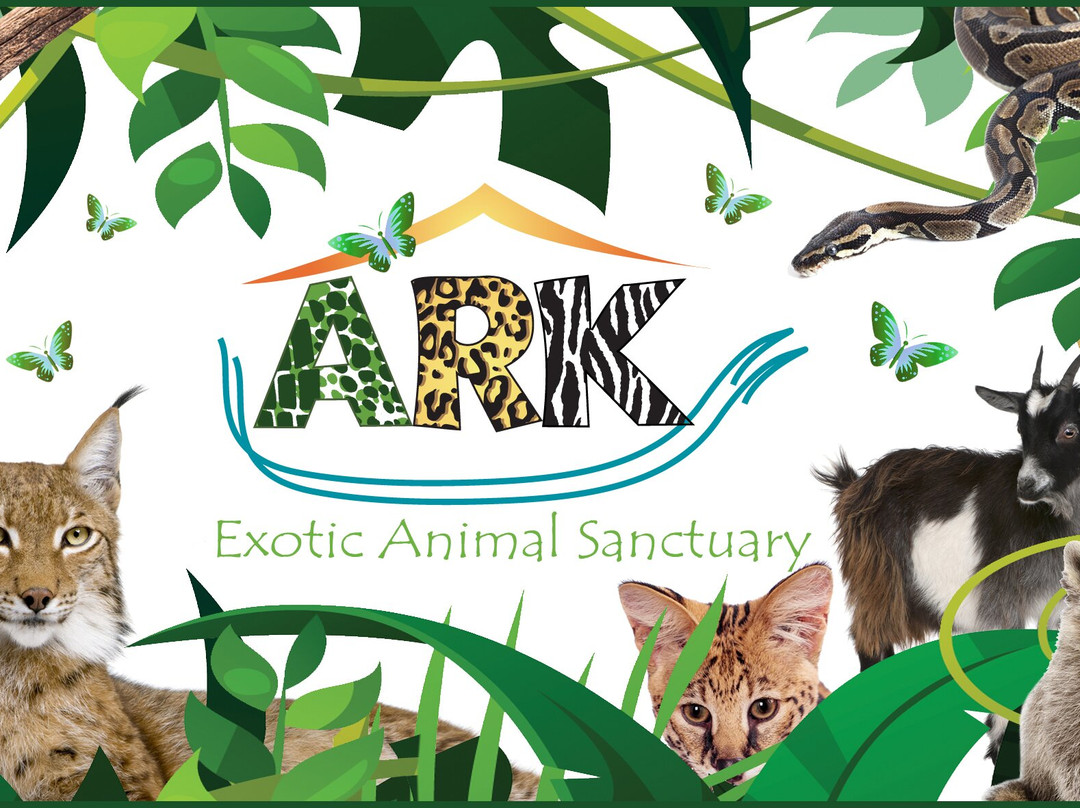 Ark Wildlife Park & Exotic Animal Sanctuary景点图片