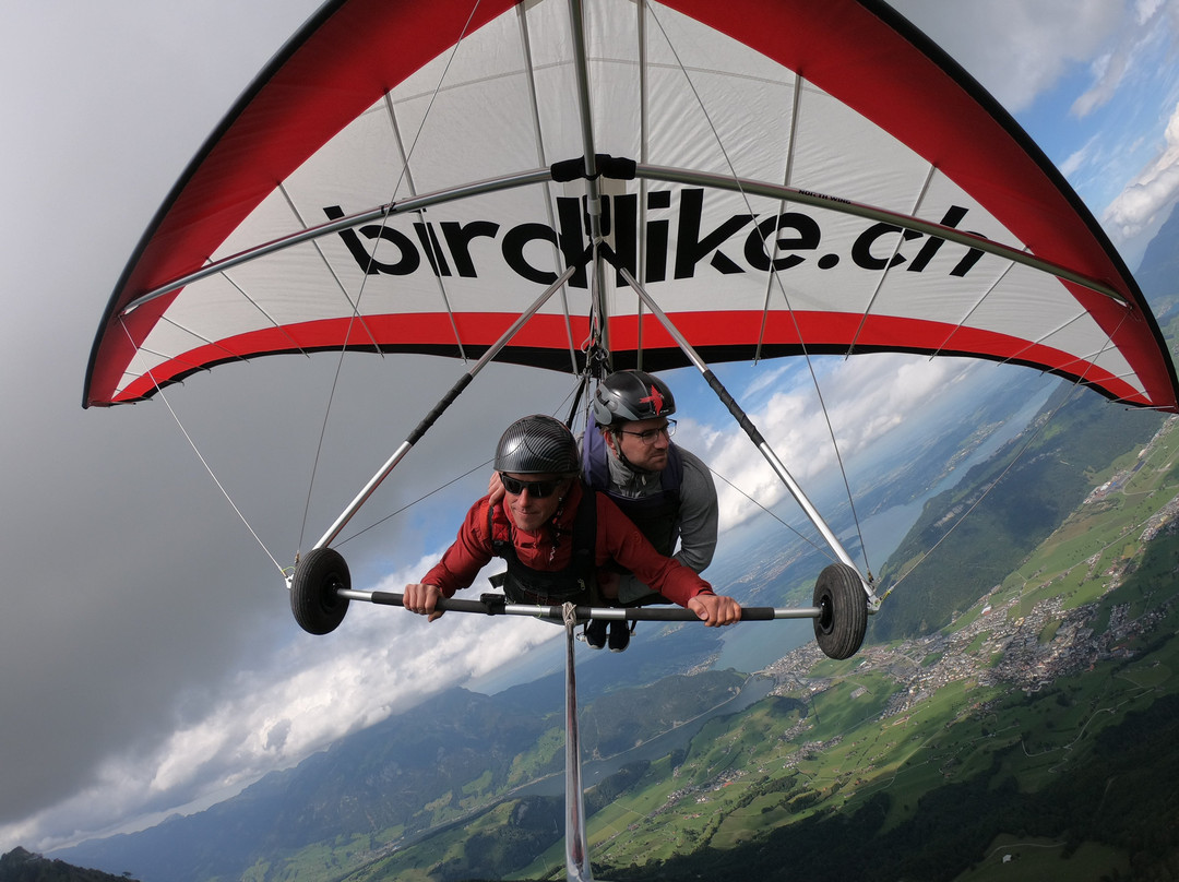 Birdlike Hang Gliding-Ennetmoos必去景点