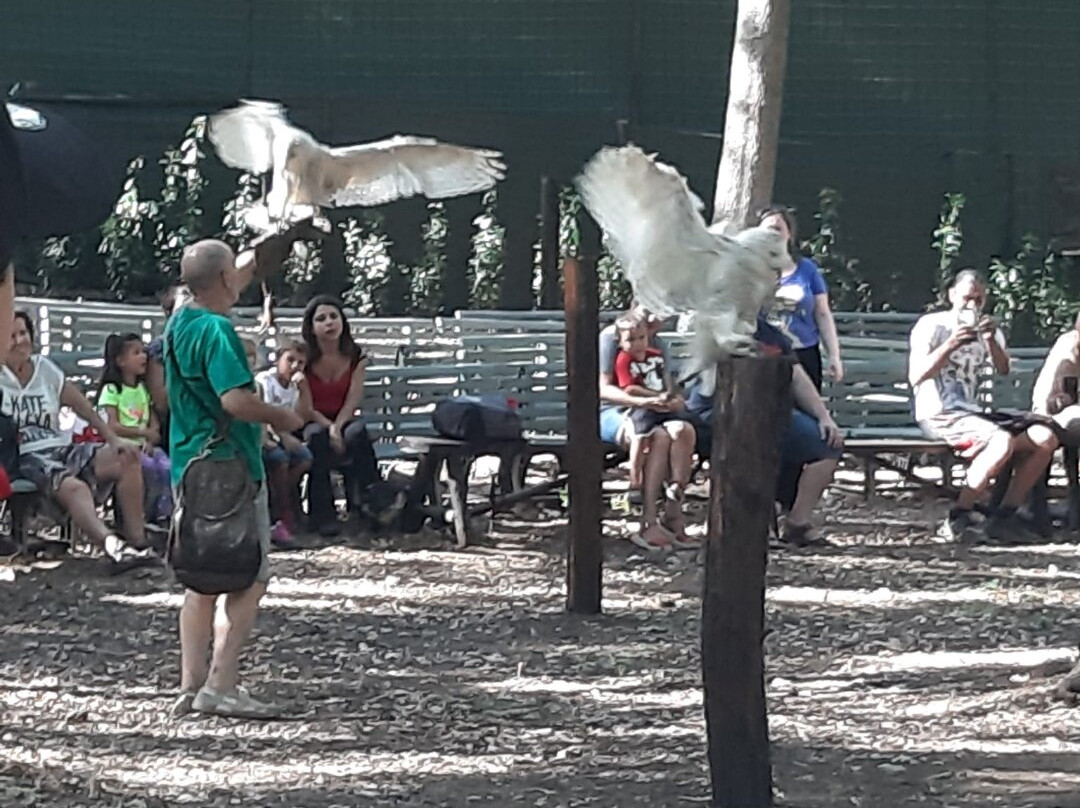 Parco Natura La Selvotta景点图片