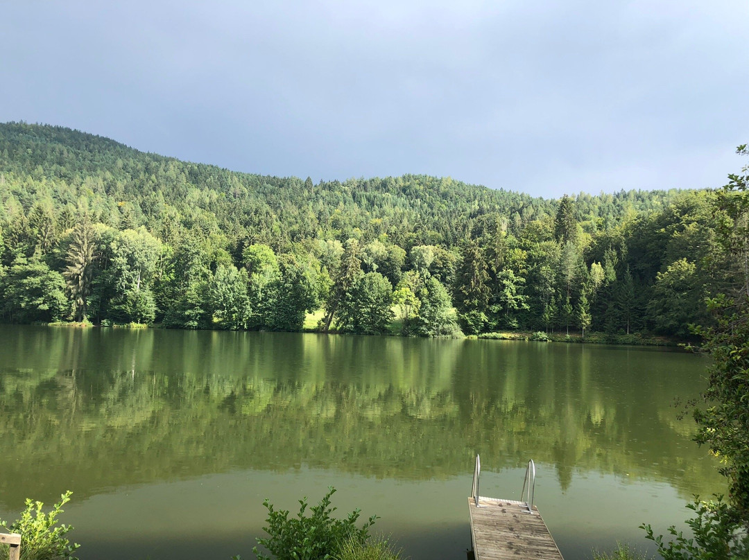 Landgasthof Trattnig主图