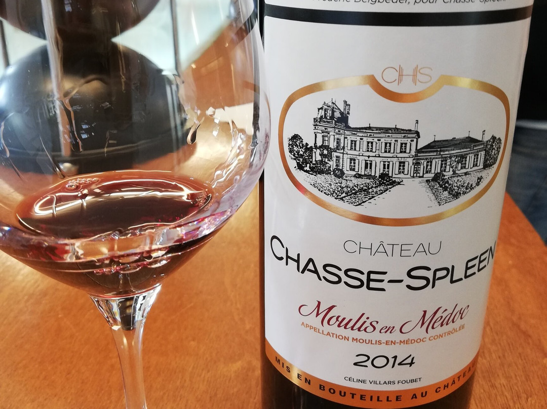 Château Chasse-Spleen景点图片